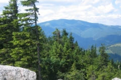 Berge Rarau und Giamalo in Pojorata